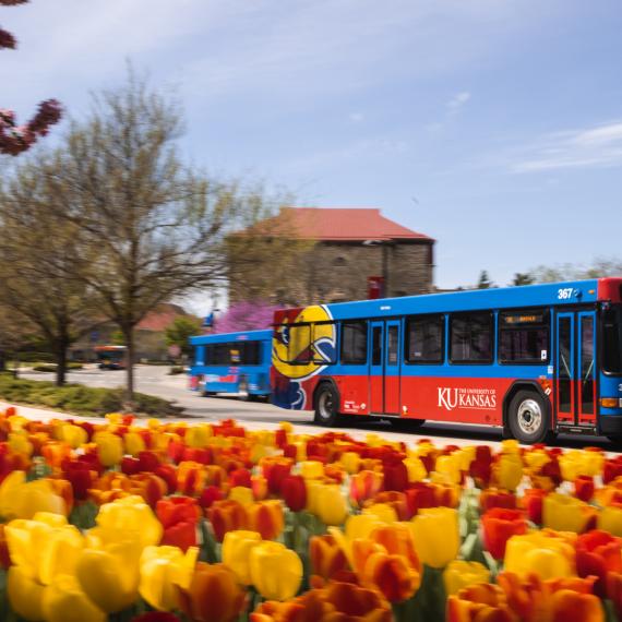 A campus bus passes by tulips in front of Smith Hall.